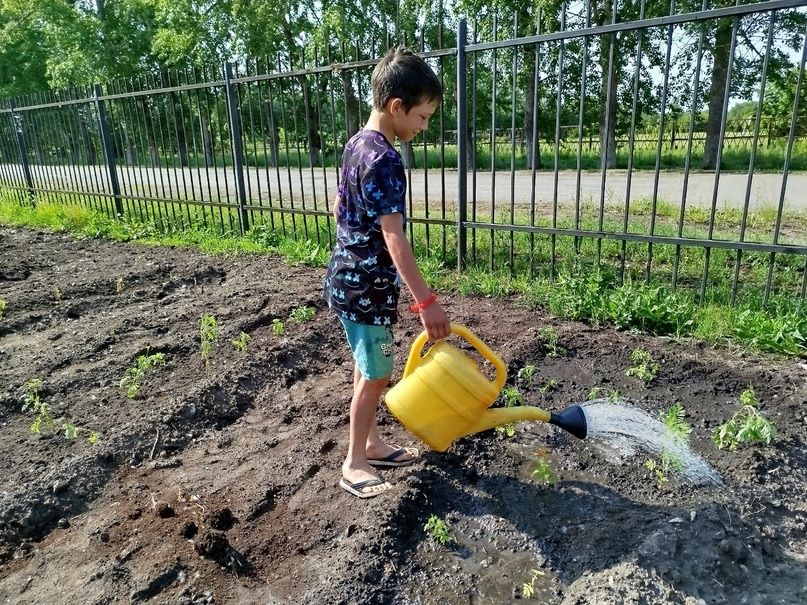 Трудовое воспитание.